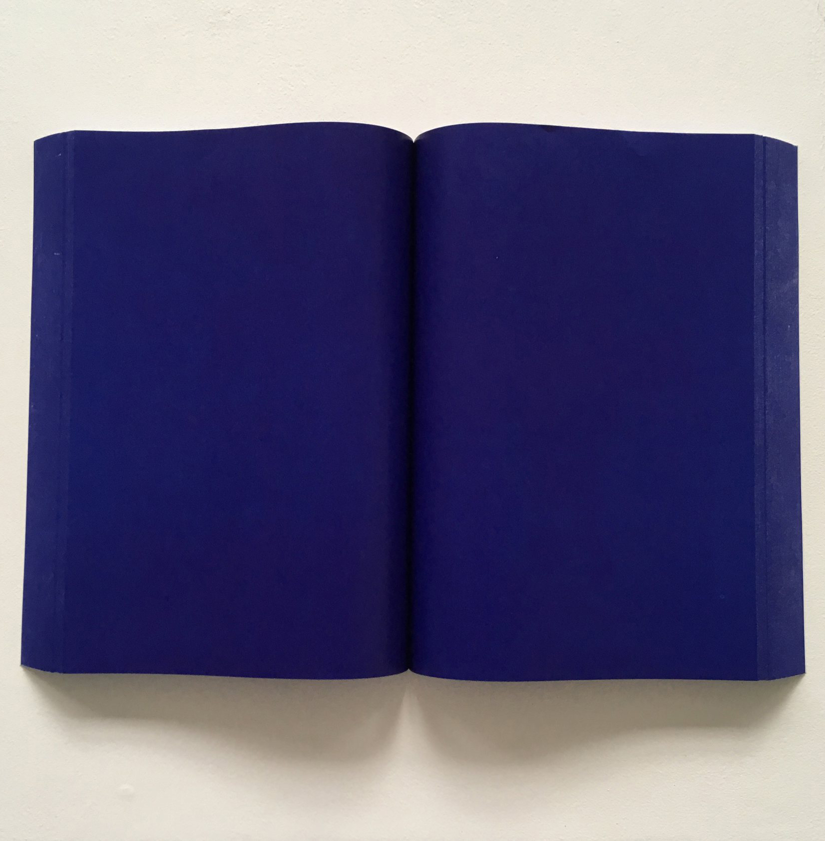 Big Blue Book