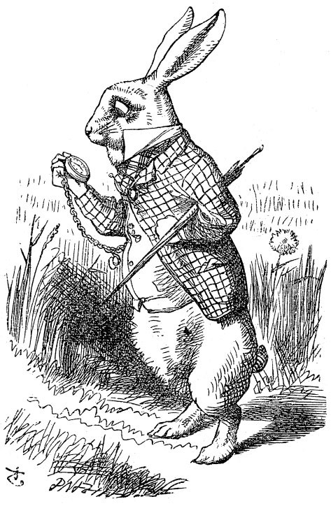 White Rabbit checks his watch